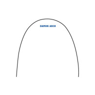 Damon arch wire Posted stainless steel